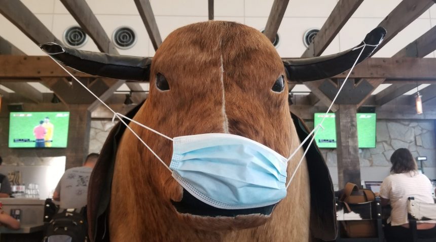 Mechanical Bull at Rdu Sends a Message to Mask-up Mechanical Bull at Rdu Sends a Message to Mask-up