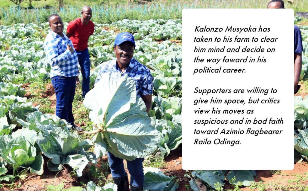 kalonzo musyoka has taken to his farm to clear him mind and decide on the way