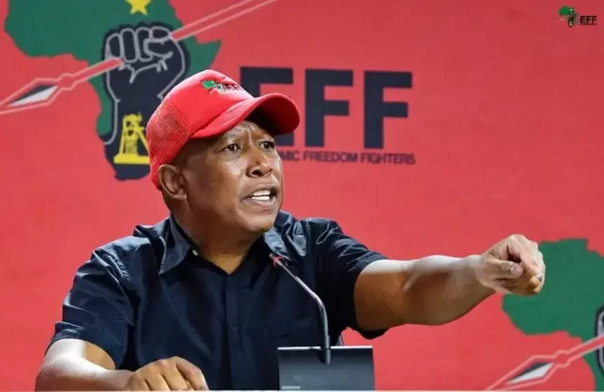 MALEMA’S CALL FOR ODINGA TO CONCEDE IS IGNORANT AND PREMATURE MALEMA’S CALL FOR ODINGA TO CONCEDE IS IGNORANT AND PREMATURE