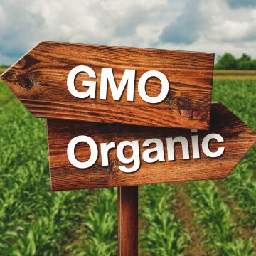 Kenya’s High Court Orders Halt of GMO Importation and Distribution Amid Raging Debate as Scientists Fight Disinformation